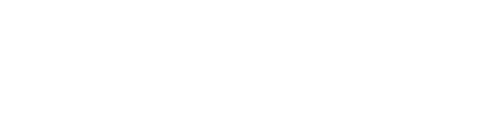 NanoKarrin